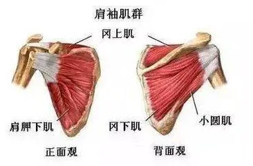 如何制定一个有效的篮球训练支持计划_2